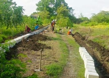 Sayangi Petani, Pemdes Racitengah Sidayu Bangun Jalan Usaha Tani Sepanjang 135 Meter