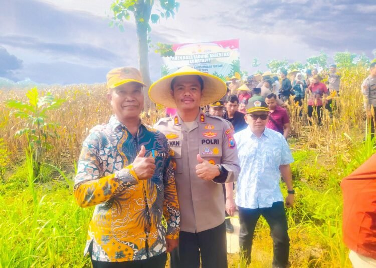 Kapolres Gresik Apresiasi Pemdes Prupuh Gelar Panen Raya Jagung Dukung Ketahanan Pangan Nasional dan Kesejahteraan Petani
