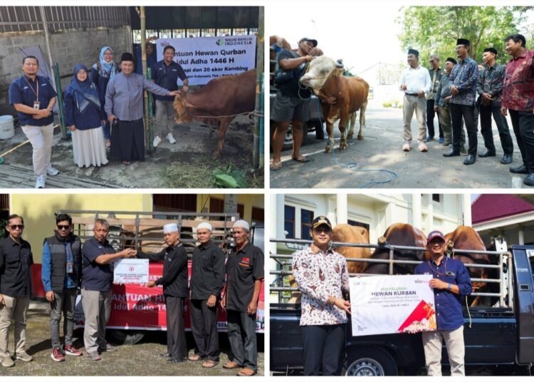Iduladha 1446 H, SIG Bagikan 237 Hewan Kurban Setara 21 Ton Daging untuk Masyarakat