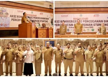 Aksi Nyata Wabup Gresik Ajak Kerja Kolektif Lintas Sektor Percepat Penurunan Angka Stunting