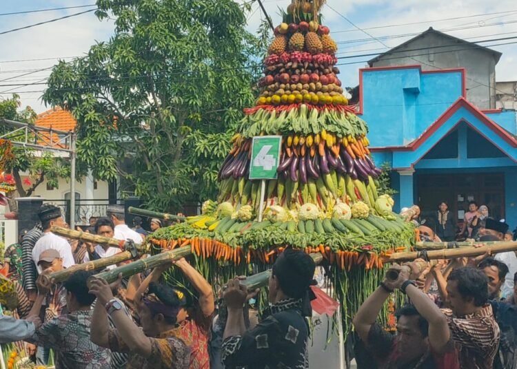 Tradisi Sedekah Bumi Kirab Lima Tumpeng Raksasa Jadi Rebutan Warga Cagakagung Cerme