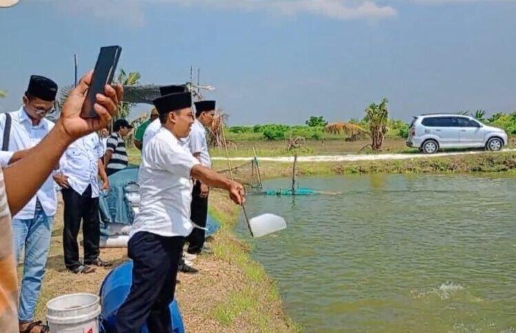 Sukses Budidaya Ikan Bandeng, Desa Pangkahwetan Jadi Jujukan Studi Tiru SNNU Pamekasan