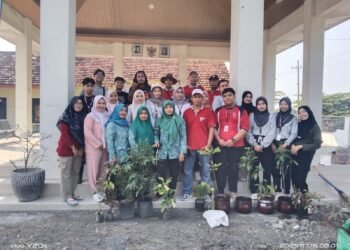 Kompak !! Kades Ngadiono Ajak Perangkat Desa Giat Jumat Bersih dan Tanam Toga