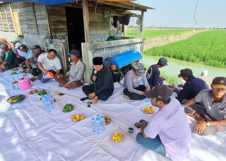 Gayeng Seru !! Cara Unik Kades Kedanyang Kebomas Serap Aspirasi Petani di Tengah Sawah