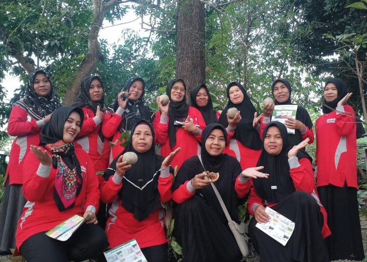 Berkat SIG, Produk Herbal UMKM Rembang Tembus Pasar Nasional: Omzet hingga Rp100 Juta per Tahun