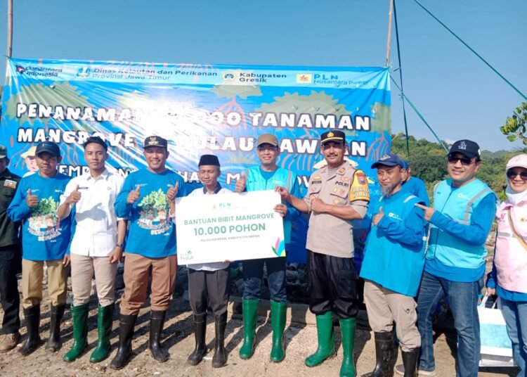 Peduli Lingkungan, Polsek Tambak Turut Tanam Ribuan Bibit Mangrove di Pulau Bawean Gresik