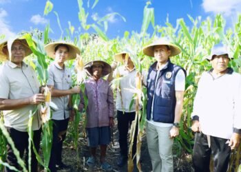 Demi Dukung Ketahanan Pangan, Polres Gresik Gelar Penanaman Jagung Serentak