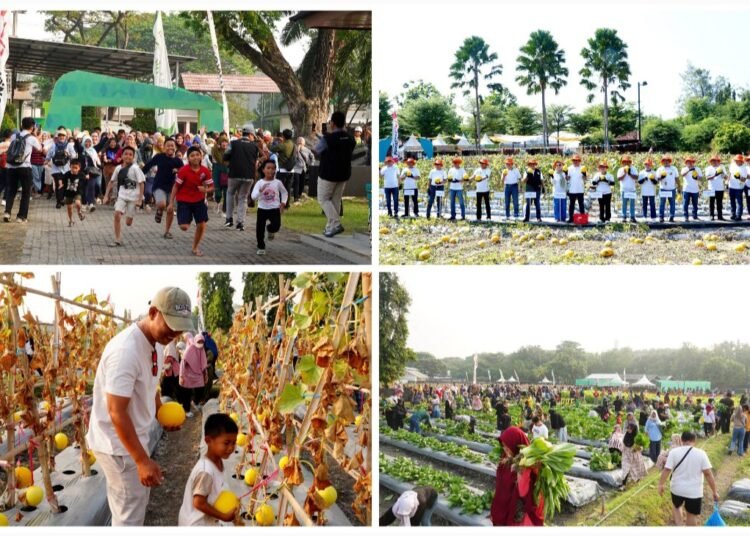 Seru Penuh Kebersamaan !! Petrokimia Gresik Ajak Masyarakat Panen Buah dan Sayur di Gelaran Petro Agrifood Expo 2025