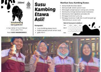 Sulitnya UMKM “Susu Kambing Terjamin” Cari Bapak Asuh di Kabupaten Gresik