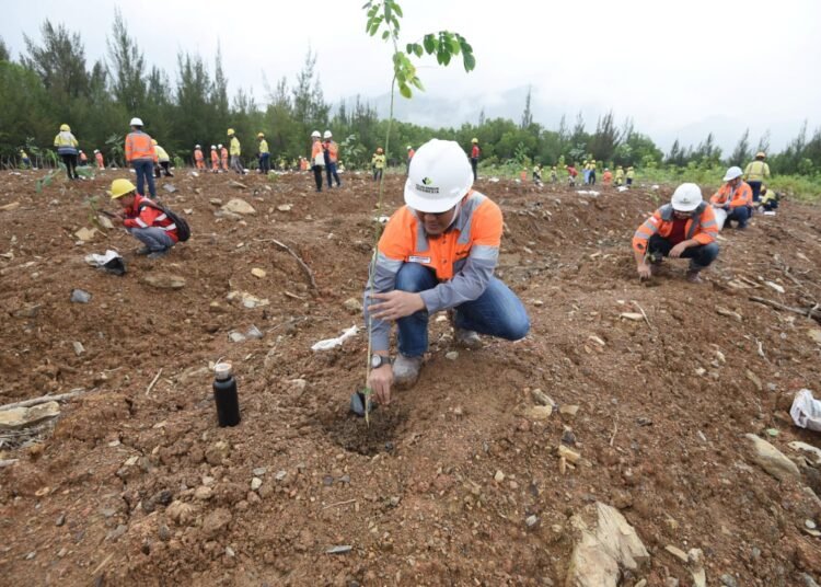 Upayakan Pemulihan Lahan Pascatambang, SIG Tanam 13.424 Batang Pohon untuk Perlindungan Keanekaragaman Hayati di Aceh