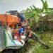 Semangat Pagi, Babinsa Benjeng Terjun Langsung ke Sawah Bantu Petani Kedungrukem Panen Padi