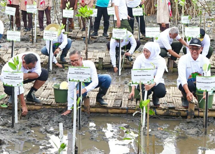Dukung Kepemimpinan Jawa Timur dalam Konservasi Hayati Mangrove, SIG Tanam 17.845 Bibit Bakau di Probolinggo