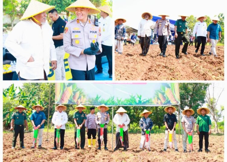 Kapolres Gresik Pimpin Langsung Giat Penanaman Jagung Bersama Santri Serentak se-Jawa Timur