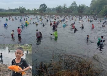 Pemdes Bulangan Dukun Bagi-bagi Ikan Gratis untuk Warga di Momen HUT RI