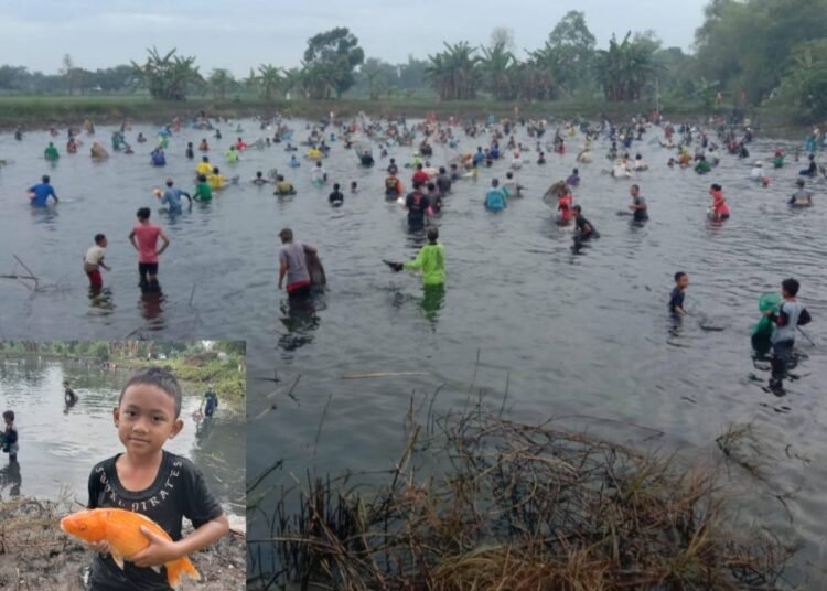 Pemdes Bulangan Dukun Bagi-bagi Ikan Gratis untuk Warga di Momen HUT RI
