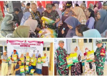 Dandim Beserta Forkopimda Gelar Gerakan Pangan Murah Serentak di Gresik: Warga Sumringah Dapat Beras Murah