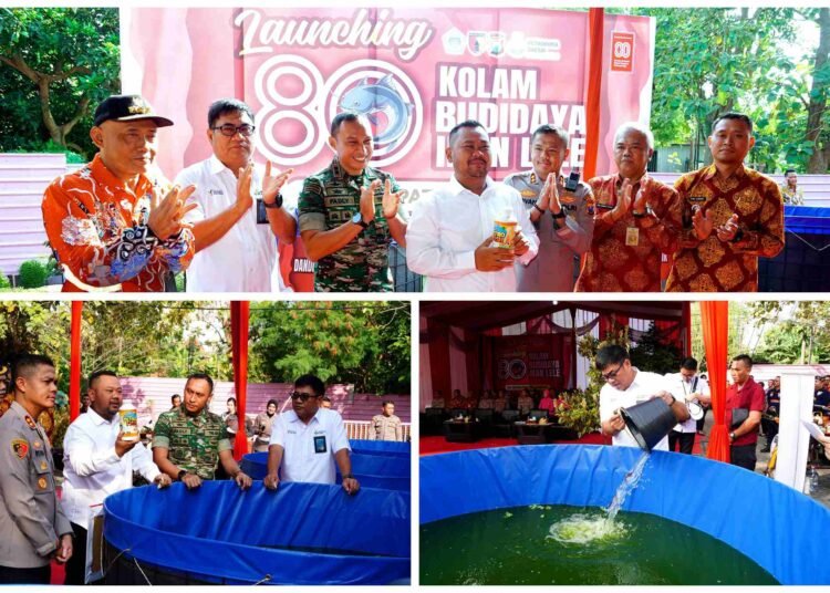 Dukung Program MBG, Petrokimia Gresik Launching 80 Kolam Budidaya Ikan Lele di Momen HUT RI ke-80