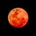 MEMBURU BULAN MERAH DARAH