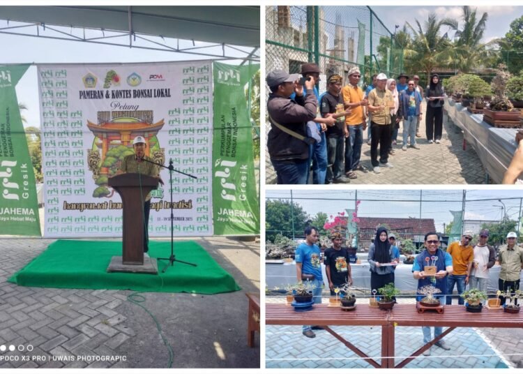 Desa Petung Panceng Kembali Gelar Pameran dan Kontes Bonsai ke-9 Diikuti Ratusan Peserta