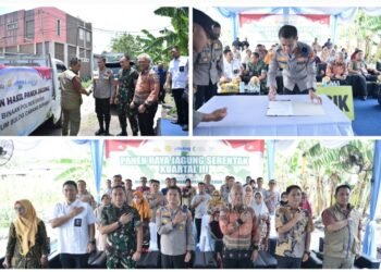 Polres Gresik Bersama Petrokimia Sukses Panen Jagung 5 Ton, Wujud Nyata Dukung Swasembada Pangan 2025