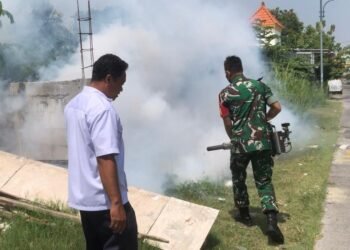 Bakti TNI Koramil Manyar Bantu Warga Lakukan Fogging di Desa Gumeno Cegah Demam Berdarah