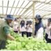 Petrokimia Gresik Dukung Program “TAMENG”: Living Lab Pertanian Berkelanjutan Pertama di Malang