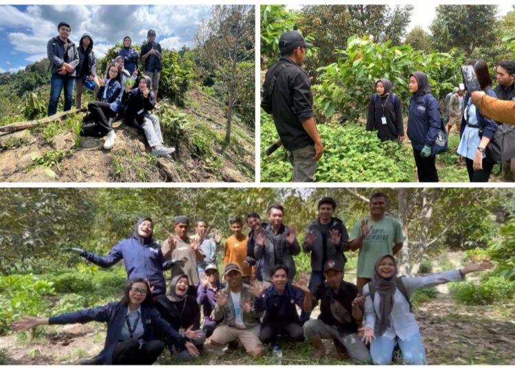 Tim Ekspedisi Patriot UI Kunjungi Ladang Pegunungan Milik Warga Desa Ambo Padang