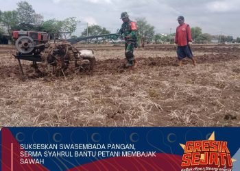 Petani Mojogede Balongpanggang Berterima Kasih kepada Babinsa Tulus Ikhlas Bantu Bajak Sawah