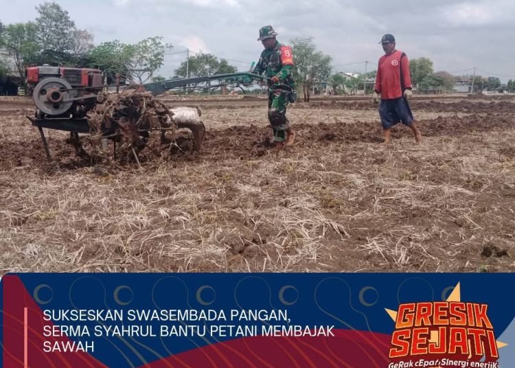 Petani Mojogede Balongpanggang Berterima Kasih kepada Babinsa Tulus Ikhlas Bantu Bajak Sawah