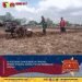 Petani Mojogede Balongpanggang Berterima Kasih kepada Babinsa Tulus Ikhlas Bantu Bajak Sawah