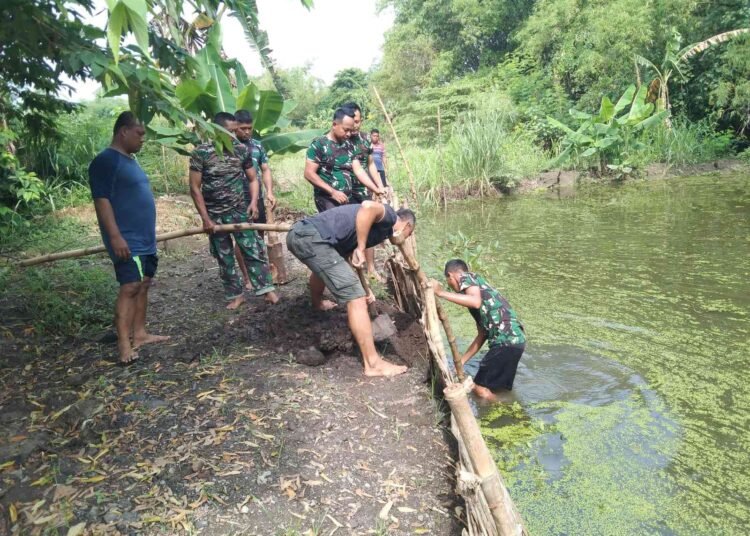 Dukung Swasembada Pangan, Koramil Balongpanggang Manfaatkan Lahan Kosong Jadi Kolam Lele