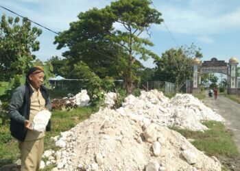 Pemdes Raci Wetan Bungah Siapkan Lahan untuk Gerai Koperasi Desa Merah Putih