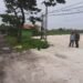 Pemdes Setrohadi Manfaatkan Lahan 6 Hektare untuk KDMP: Buka Lapangan Kerja untuk Warga Desa