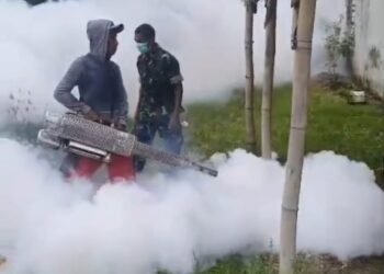 Cegah Demam Berdarah, Babinsa Duduksampeyan Dampingi Penyemprotan di Tambakrejo