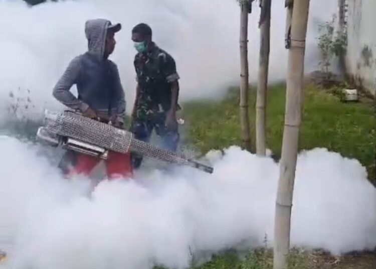 Cegah Demam Berdarah, Babinsa Duduksampeyan Dampingi Penyemprotan di Tambakrejo