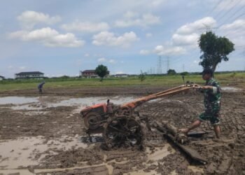 Kodim 0817/Gresik Optimalkan Lahan Tidur Jadi Produktif di Driyorejo Dukung Ketahanan Pangan Nasional 