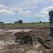 Kodim 0817/Gresik Optimalkan Lahan Tidur Jadi Produktif di Driyorejo Dukung Ketahanan Pangan Nasional