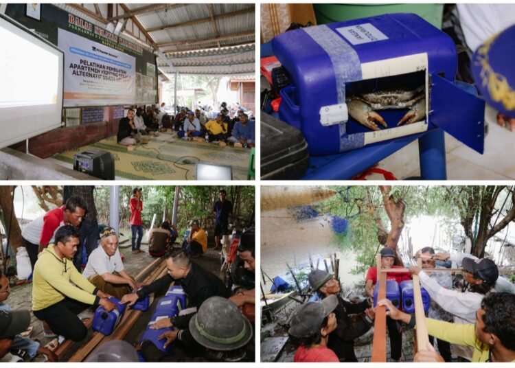 Program Bermanfaat di Pengujung Tahun, PT Freeport Gelar Pelatihan Apartemen Kepiting Tingkatkan Kesejahteraan Nelayan