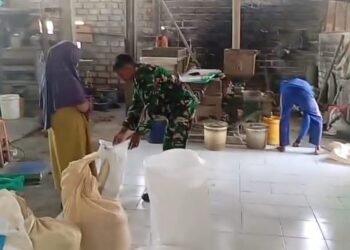 Babinsa Duduksampeyan Pantau Produksi dan Harga Gabah Petani Dukung Ketahanan Pangan