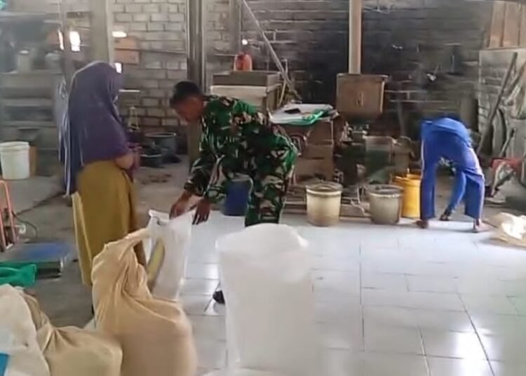 Babinsa Duduksampeyan Pantau Produksi dan Harga Gabah Petani Dukung Ketahanan Pangan