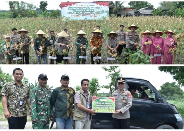 Petrokimia Gresik Dukung Penuh Panen Jagung Serentak Bersama Mabes Polri