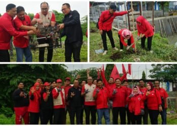 Merawat Pertiwi, Kado Spesial DPC PDI Perjuangan Gresik di Ultah ke-79 Ketua Umum Megawati Soekarnoputri