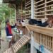 Ngabuburit Ramadan, Babinsa Balongpanggang Sambang Peternak Kambing di Kedungpring