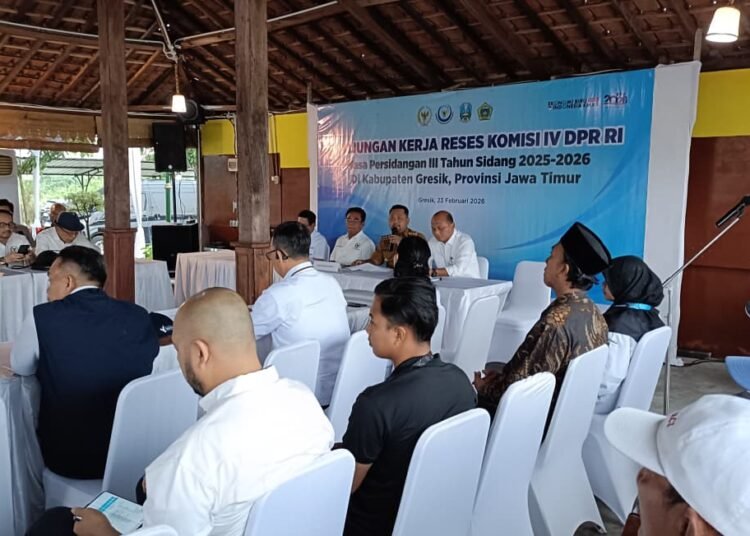 350 Hektare Tambak di Betoyoguci Manyar Gresik Tergantung Pupuk, DPR RI Janji Berikan Solusi Terbaik