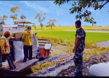 Ramadan Bertabur Cinta, Babinsa Balongpanggang Turun ke Sawah Sambangi Petani