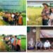 Program PEU Penzawa Kemenag Gresik Mendulang Sukses: Panen Padi Melimpah, Petani Sumringah