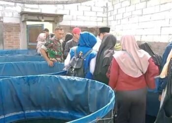 Ramadan, Babinsa Serka Khoirul Anam Beri Semangat Pengembangan Usaha Lele Warga Kebungson