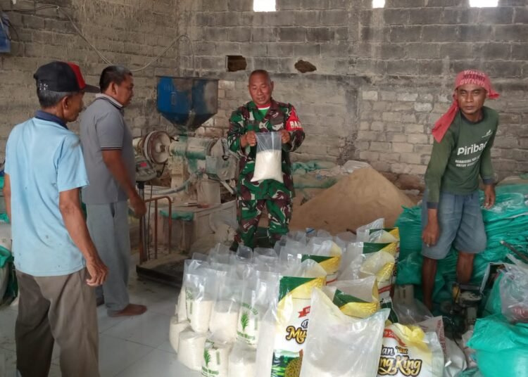 Pastikan Ketersediaan Pangan, Babinsa Cerme Tinjau Stok Gabah dan Beras di Penggilingan Desa Kandangan