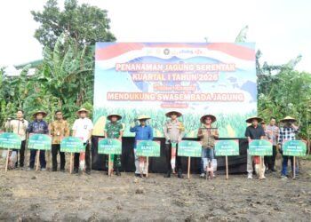 Dukung Swasembada Pangan Nasional, Polres Gresik Bersama Forkopimda Tanam Jagung 1,2 Hektare di Kebomas