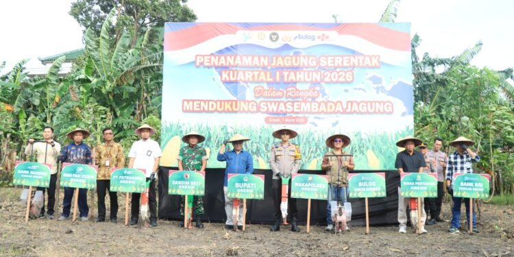 Dukung Swasembada Pangan Nasional, Polres Gresik Bersama Forkopimda Tanam Jagung 1,2 Hektare di Kebomas